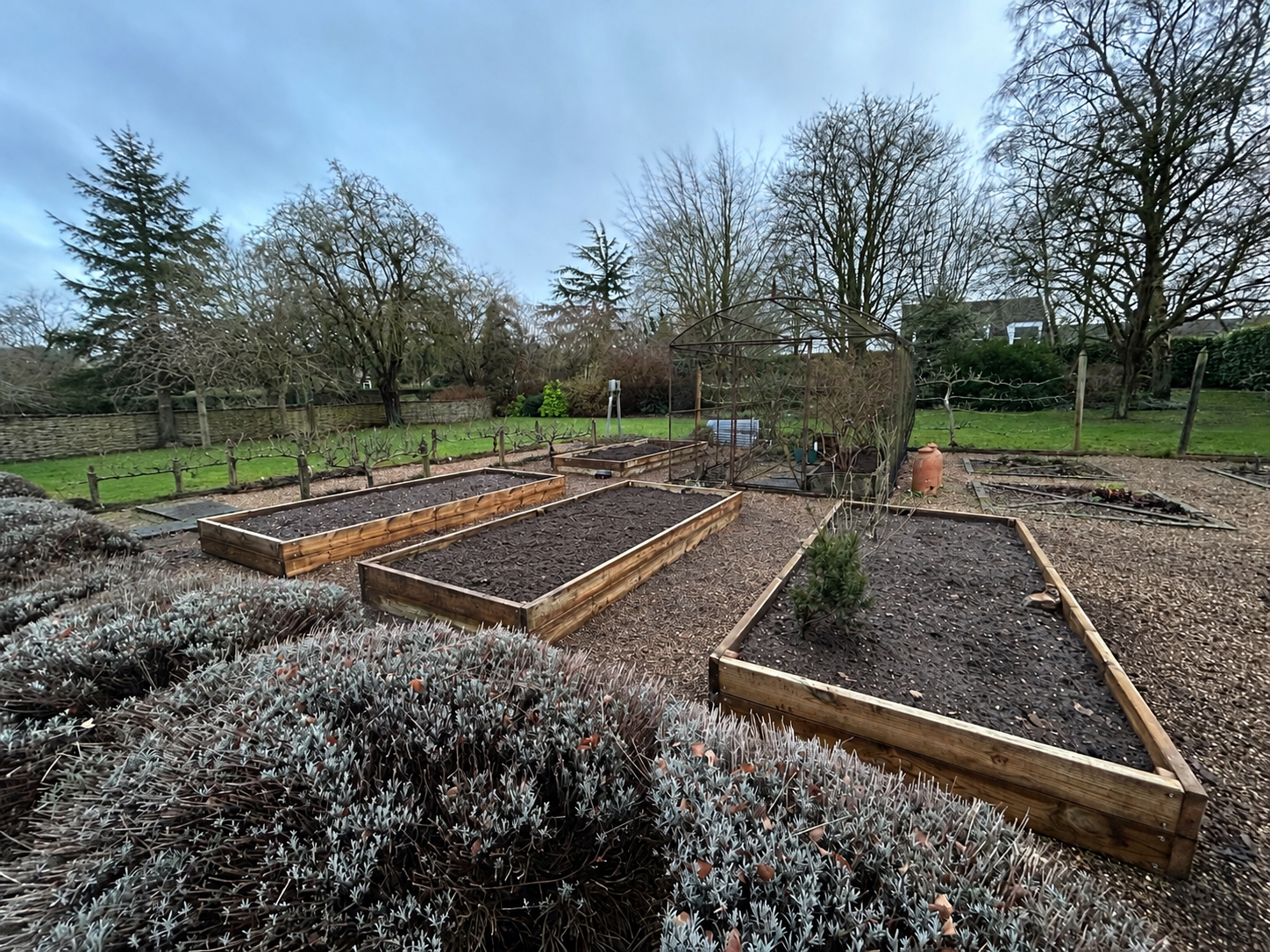 Timber raised beds in a kitchen garden